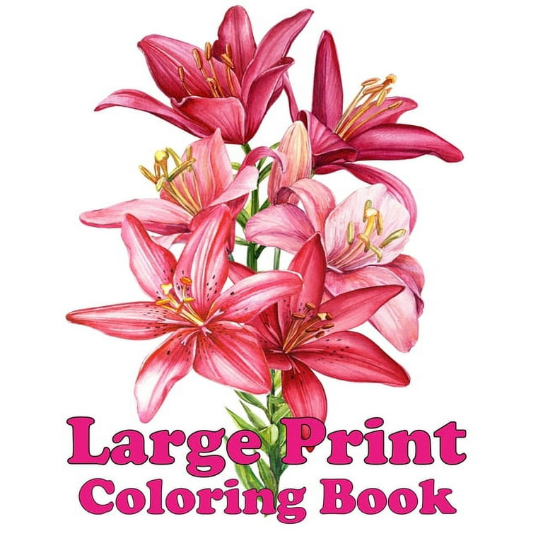 Large Print Coloring Book: An Adult Coloring Book Featuring Fun, Easy and Relaxing Designs [Book]