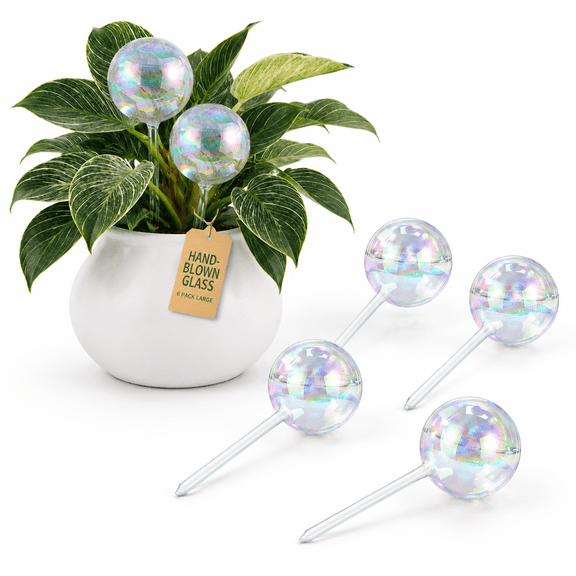 Large Rainbow Plant Watering Globes Extra-thick Gl6 Pack