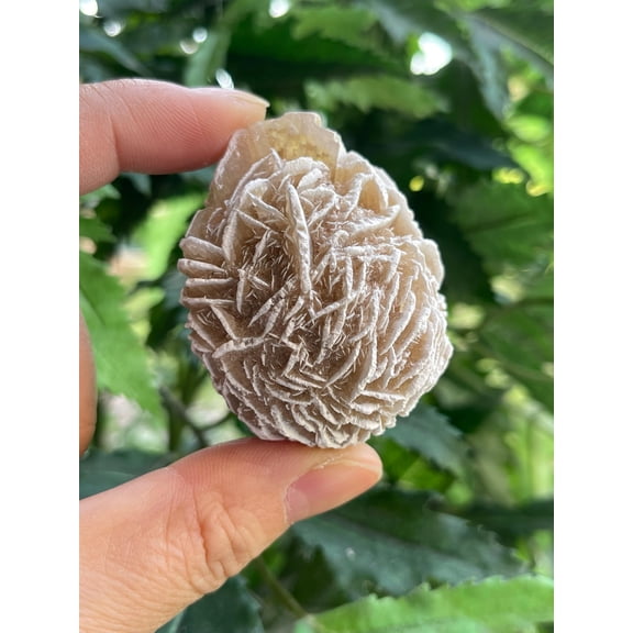 Large Raw Desert Rose, Natural Desert Rose Stone, Natural Rough Desert Rose, Desert Rose Rough, Desert Rose Rock (Desert Rose, 1 piece)