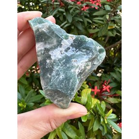 Large Raw Tree Agate, Natural Tree Agate Stone, Natural Rough Tree Agate, Tree Agate Rough, Tree Agate Rock (Tree Agate, 1 piece)