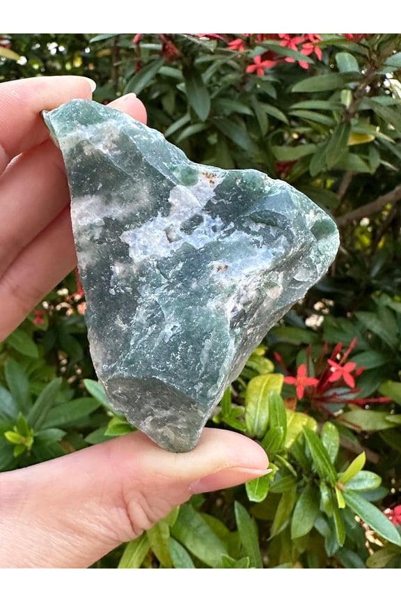 Large Raw Tree Agate, Natural Tree Agate Stone, Natural Rough Tree Agate, Tree Agate Rough, Tree Agate Rock (Tree Agate, 1 piece)