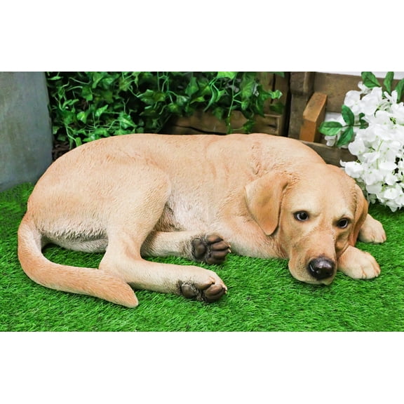 Large Realistic Sleeping Yellow Labrador Retriever Statue 21"H Golden Retriever