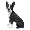 thumbnail image 1 of Large Realistic Tuxedo Boston Terrier Statue 15"Tall Animal Dog Collectible, 1 of 9