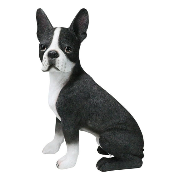 Large Realistic Tuxedo Boston Terrier Statue 15"Tall Animal Dog Collectible