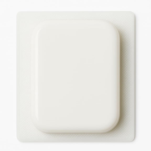 Large Rectangular Jello Mold 2.2 Liter Capacity 8x10 Plastic with Rounded Edges Reusable Mexican Gelatina Mold for Parties, Birthdays, Events