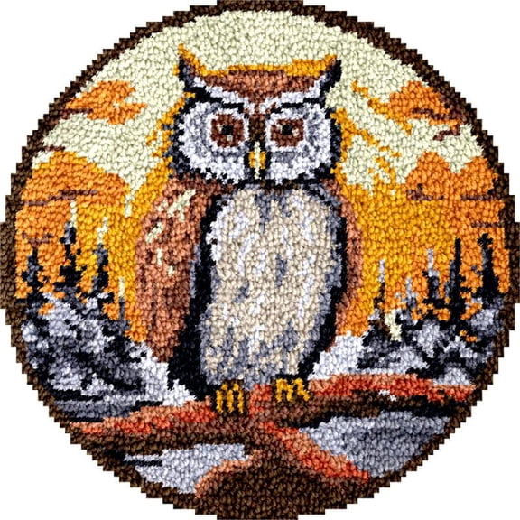 Large Round Latch Hook Rug kits Big Owl Bird Latch Hook kit Cushion Blanket Embroidery Craft Kits For Beginner DIY Latch Hook Carpet Rug Kit with Printed Canvas 60x60cm