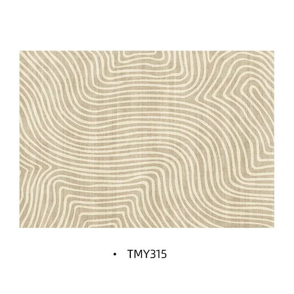 Large Rug Japanese-style Carpet living room Minimalist line large room rugs 200x300 bedroom decor IG Decorative Cloakroom soft floor mat
