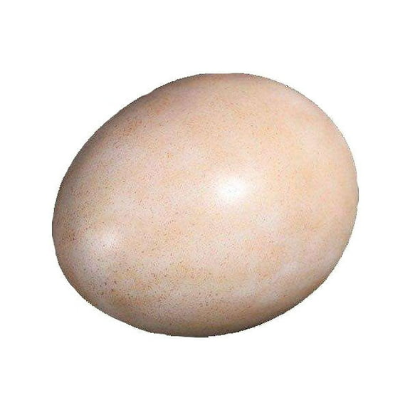 Large Sauropod Dinosaur Egg Life Size Statue