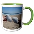 thumbnail image 1 of 3drose, Large Seashells Found on the Beautiful Belmar Beach in New Jersey, 11oz Two-tone Green Mug, 1 of 6