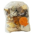 thumbnail image 1 of Large Seashells World Mix - 5 lbs, 1 of 1