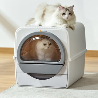 Scoopfree litter tray refills walmart sales