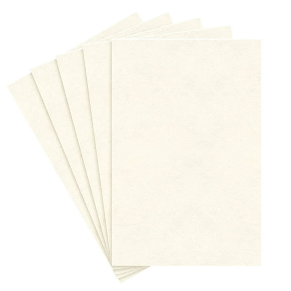 Large Size 'New White' Stationery Parchment Paper – Great for Posters, Bulletins, Certificates, Menus and Invitations | 24lb Bond, 60lb Text, 90 GSM | 23 x 35 Inches | 5 Sheets per Pack