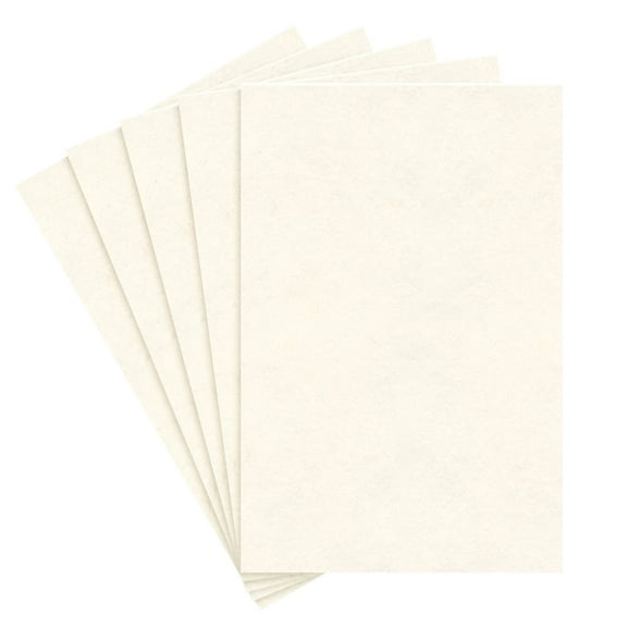 Large Size 'New White' Stationery Parchment Paper Great for Posters, Bulletins, Certificates, Menus and Invitations | 24lb Bond, 60lb Text, 90 GSM | 23 x 35 Inches | 5 Sheets per Pack