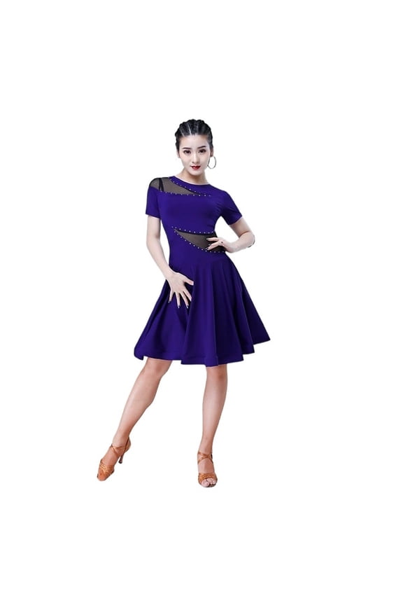 Large Size Sexy Latin Dance Performance Purple Dress Women Spring Summer Ballroom Dress Tango Clothes Dancing Clothes Skirt