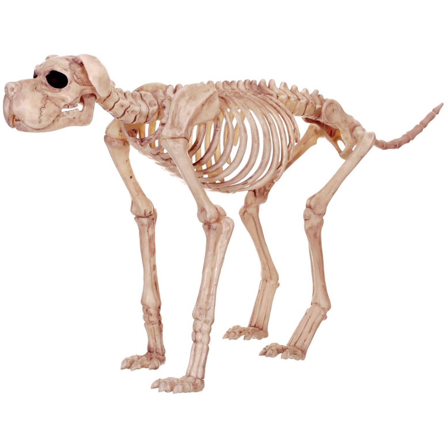 Large Skeleton Dog Halloween Decor 