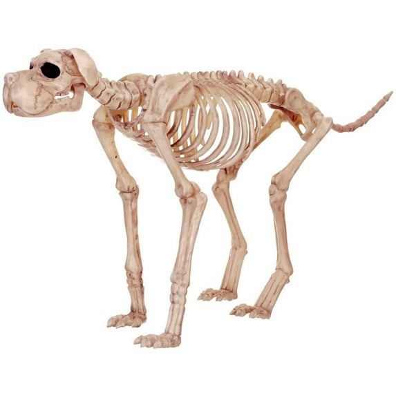 Bruiser Bonez the Skeleton Dog