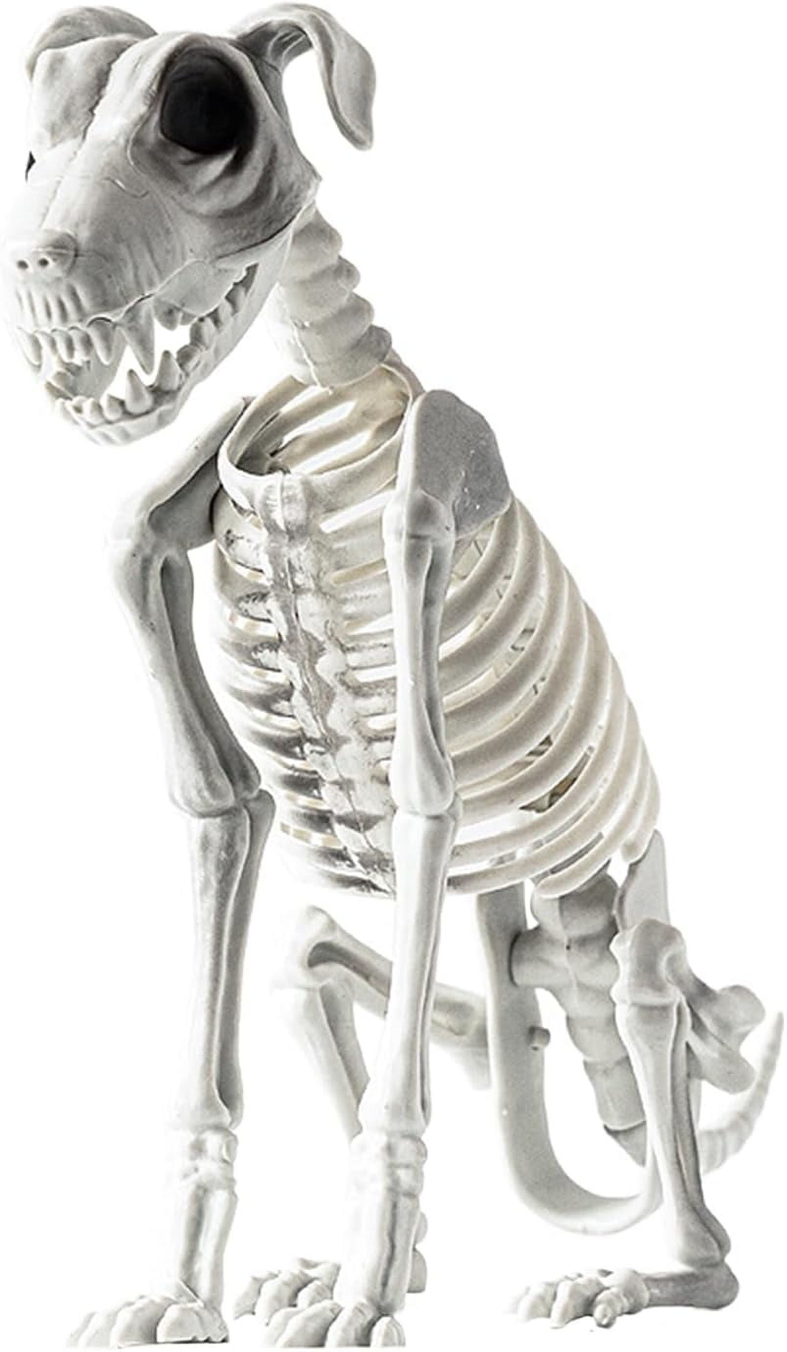Large Skeleton Dog Statue Halloween Decoration 12 2 In Plastic Dog Large skeleton dog statue halloween decoration 12 2 in plastic dog