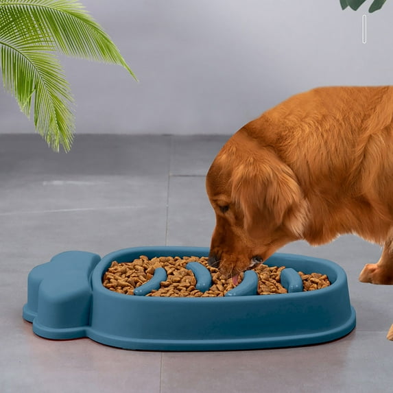 Large Slow Feed Dog and Cat Bowl – Pet Supplies for Eating