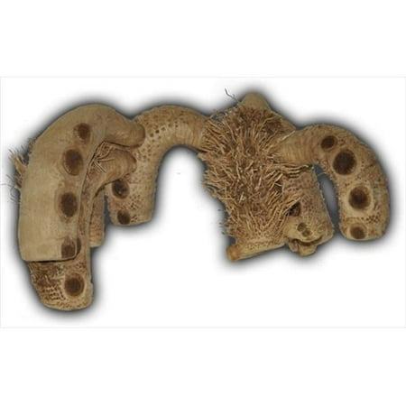 A&E Cage AE2112 Large Spider Root