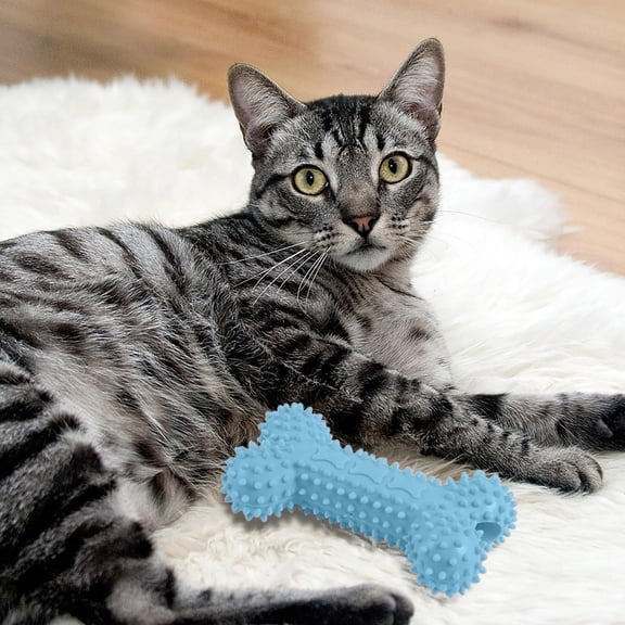 Large Spiked Bone Dog Chew Toy – Durable Plastic for Aggressive Chewers and Teeth Cleaning – A