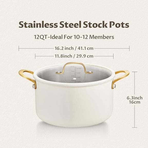 Large Stainless Steel Stock Pot, 12 Quart with Ceramic Coating and Glass Lid for Induction Cooking