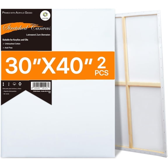 Large Stretched Canvas 30x40 Inch 2 Pack 100% Cotton Primed Acid-Free White Blank for Acrylics and Oils