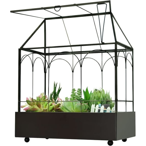 Large Tall Glass Plant Terrarium – House Succulent Terrarium Kit with Lip and Tray, 9.5”X5.7”X11.4”