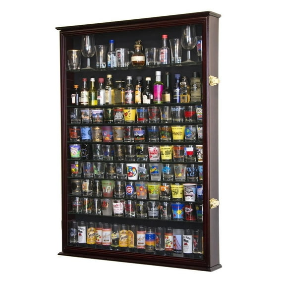 Large Tall Shot Glass, Shooter, Mini Liquor Bottle Display Case Cabinet