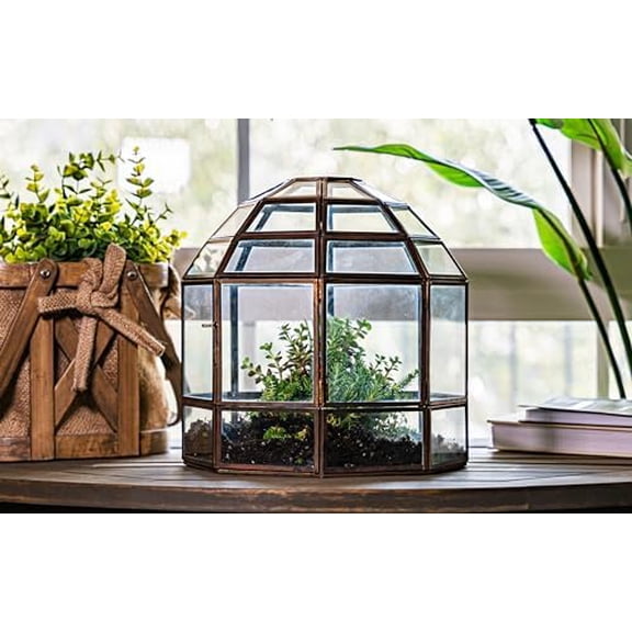 Large Terrarium Birdcage, Glass and Metal Indoor Display Case, Unique Gift Idea, Succulent Container, Orchid Planter, Home Decor. (Bronze) 10" x 9"(Diameter)$$Garden & Patio