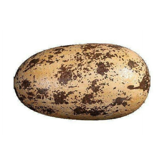 Large Theropod Dinosaur Egg Life Size Statue