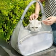 thumbnail image 1 of Large Transparent Mesh Pet Carrier Bag, Portable Foldable Handheld Soft-Sided Kennel for Small Medium Dogs Cats, Travel Vet Grooming, Breathable & Washable(Gray), 1 of 6