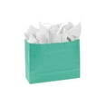 thumbnail image 1 of SSWBasics Large Turquoise Paper Shopping Bags - 16”L x 6”D x 12 ½”H - Case of 100, 1 of 1