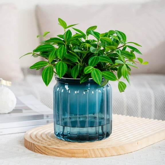Large Vertical Stripe Hydroponic Pot, Transparent Plastic Flower Pot, Small Indoor Potted Planter, Desktop Hydroponic Pot for Green Lovers Living Room Decor, 4*4.5in, Blue