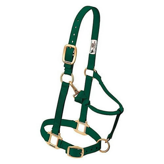 Weaver Leather Horse Halter: Adjustable Nylon for Comfort & Durability Hunter Green / Large Horse
