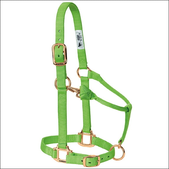 Large Weaver Horse Halter Nylon Heat Sealed Buckle Chin Throat Lime
