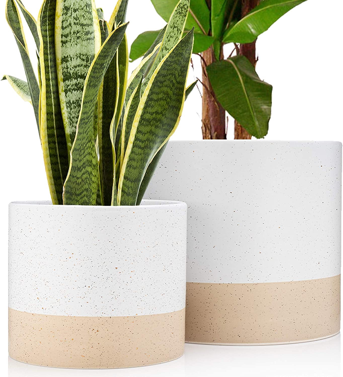 https://i5.walmartimages.com/seo/Large-White-Ceramic-Plant-Pots-10-8-Inch-Indoor-Flower-Drainage-Beige-Natural-Colors-Hand-Painted-Planter-Modern-Gold-Speckles_329e6976-ddc8-4504-ba6c-ecf3c1f335c0.9f15b13ce088a7c013031904388e573c.jpeg