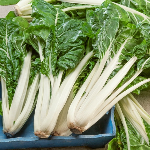 Large White Ribbed Swiss Chard Seeds - 1 Oz ~1100 Seeds - Non-GMO - Vegetable Garden, Growing Microgreens - Beta vulgaris