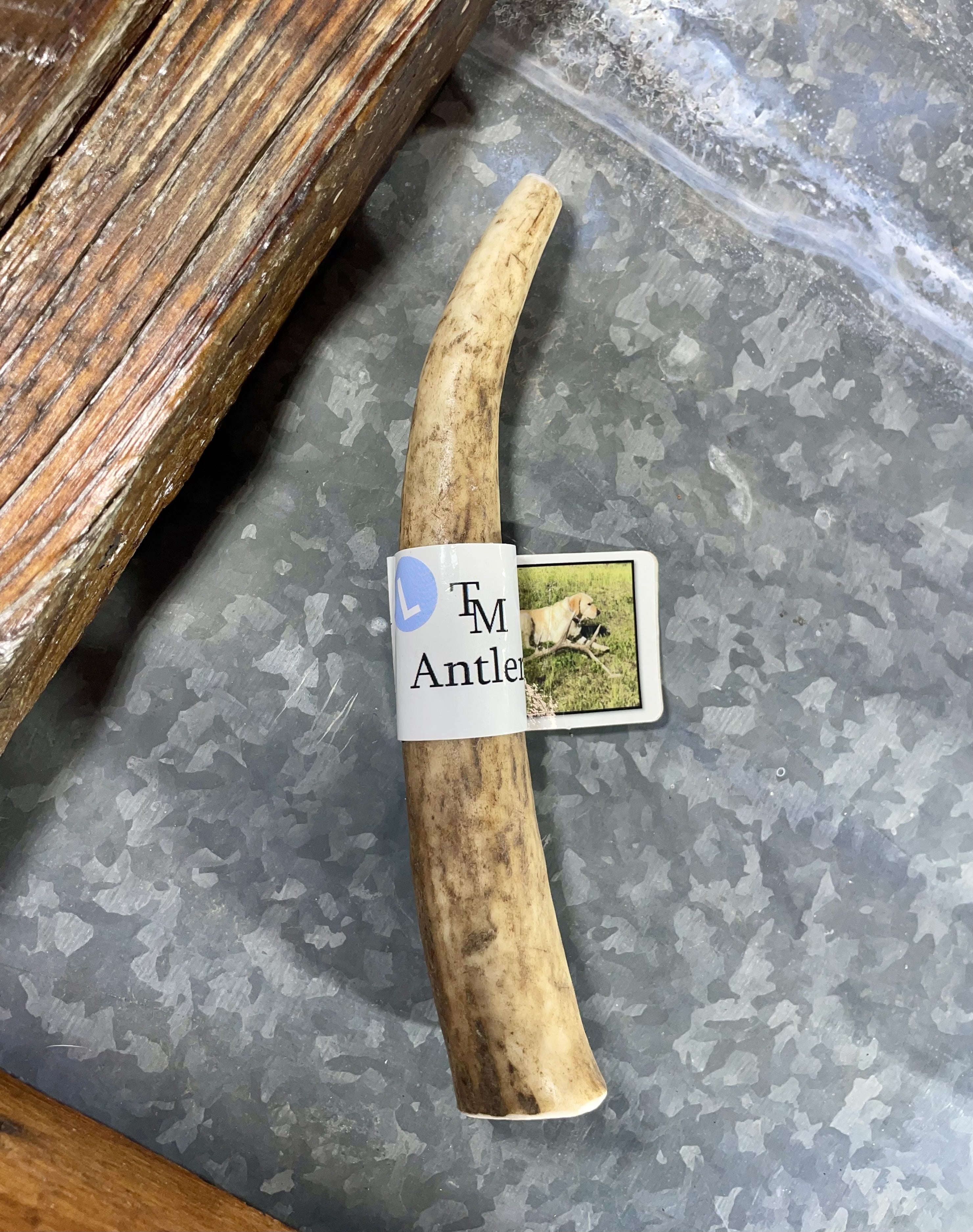 TM Antlers Large Whole Elk Dog Chew – Durable, Naturally Shed Treat for Medium & Large Dogs (Whole: 6”-8”, Large, 1-Pack)