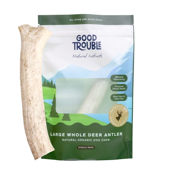 Large Whole Premium Wild Deer Antler Bone for Dogs by Good Trouble Pets