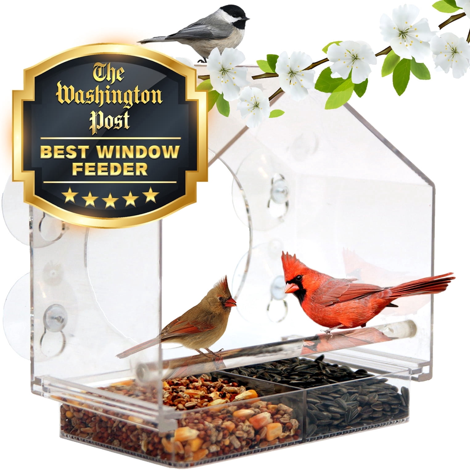 Large Window Bird House Feeder by Nature Anywhere with Sliding Seed Holder for Garden Birds