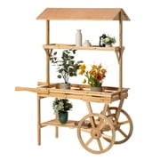 Large Wooden 3 Tier Rolling Table Cart with 2 Wheels for Home Decor Modern Wagon with Shelves for Display Rack, Coffee