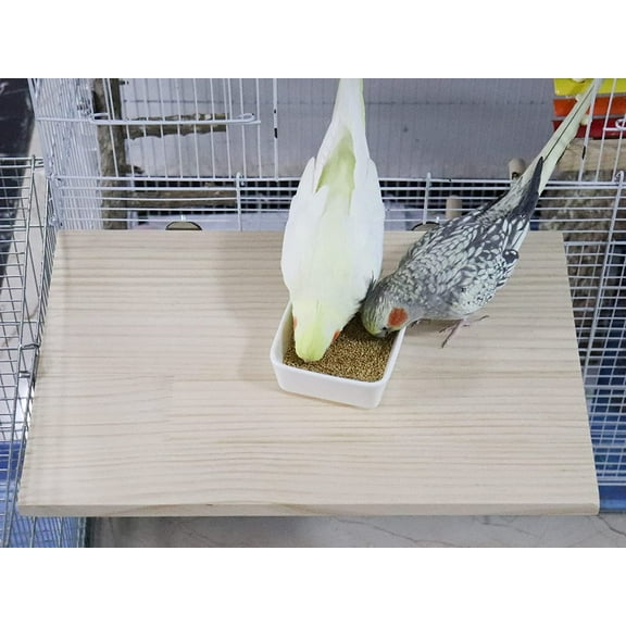 Large Wooden Bird Perch Stand Platform, Size for Parrots & Small Animals, Durable & Easy to Install