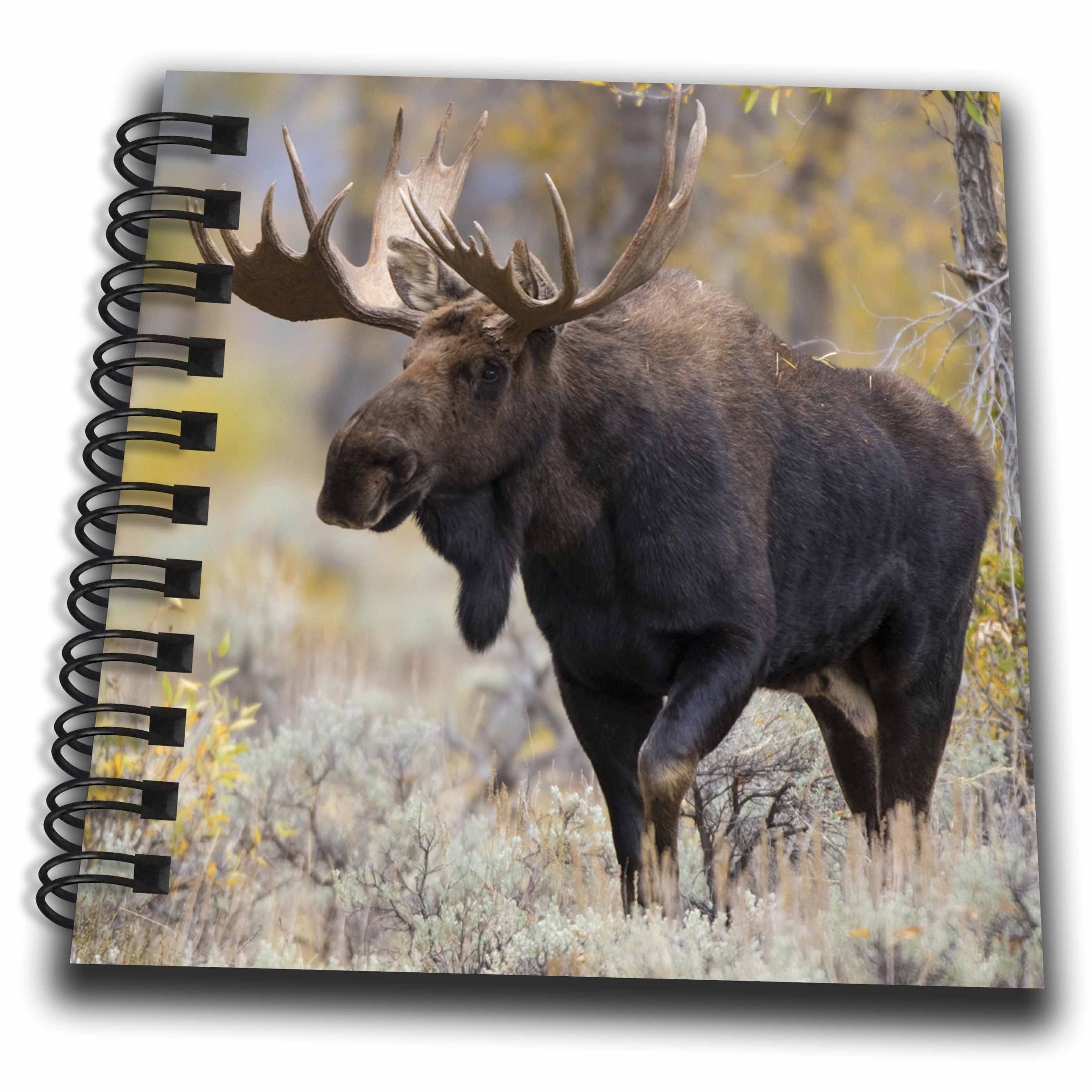 3dRose, Large bull Moose, Grand Teton National Park, Wyoming, Mini Notepad 4 x 4 inch