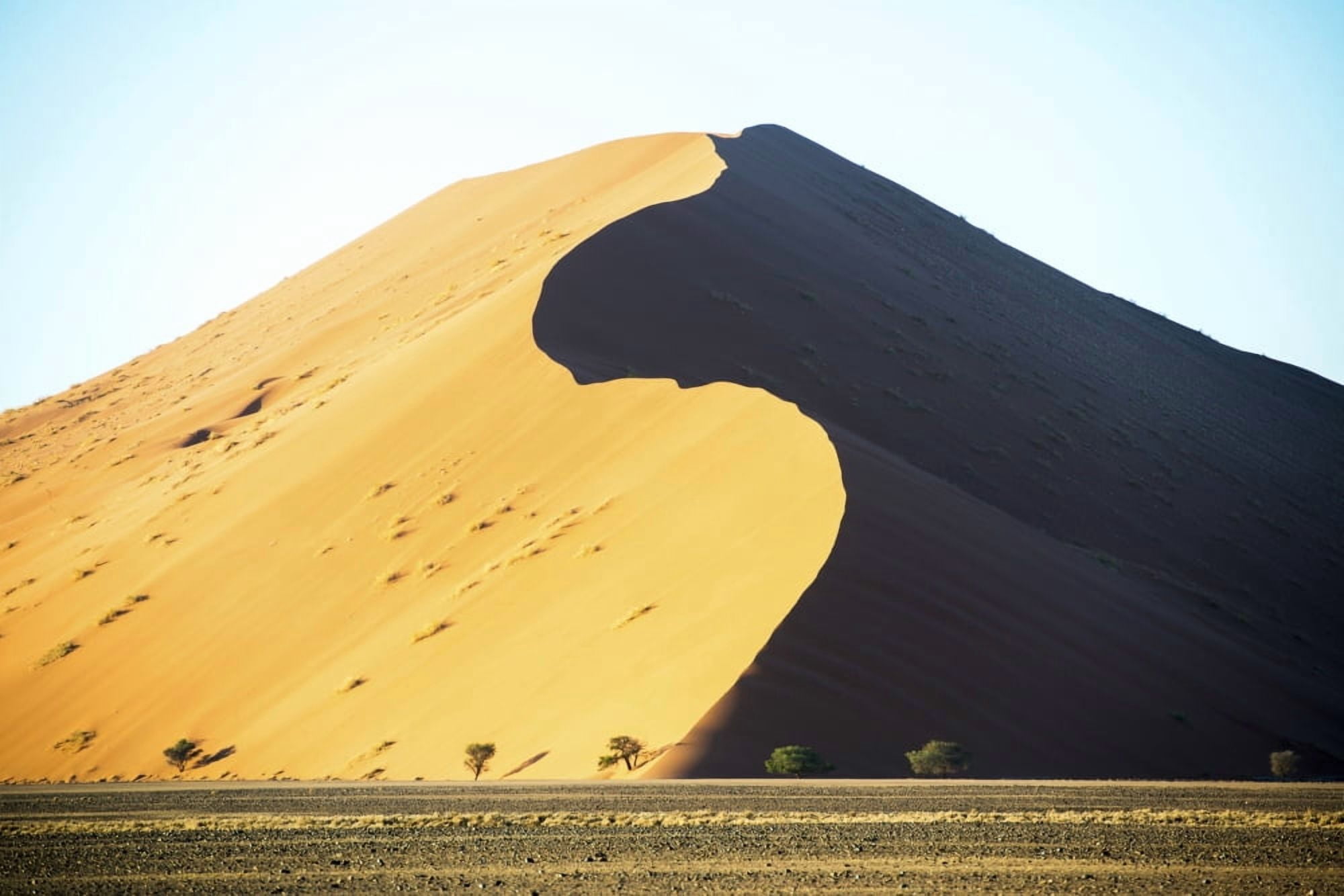 Large desert sand dunes Sossusvlei Namibia Canvas Art - Remsberg Inc Design Pics (19 x 12)