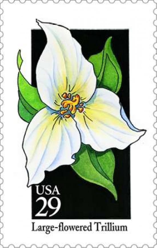 Large-flowered Trillium Canvas Art - US POSTAL SERVICE (12 x 18)