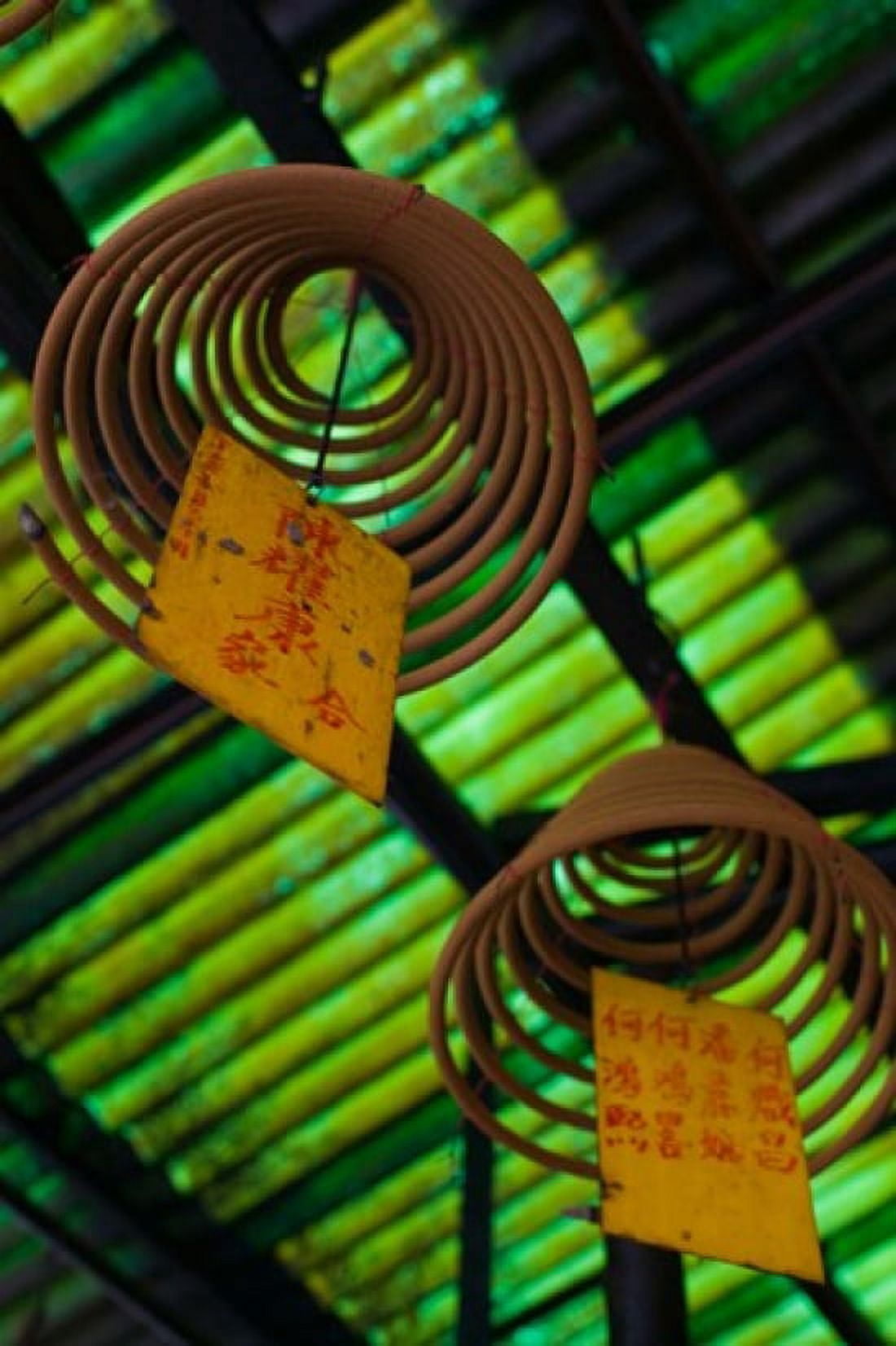 Large incense coils hanging in Pak Sing Ancestral Hall Central District Hong Kong Island Hong Kong Canvas Art - Panoramic Images (24 x 36)