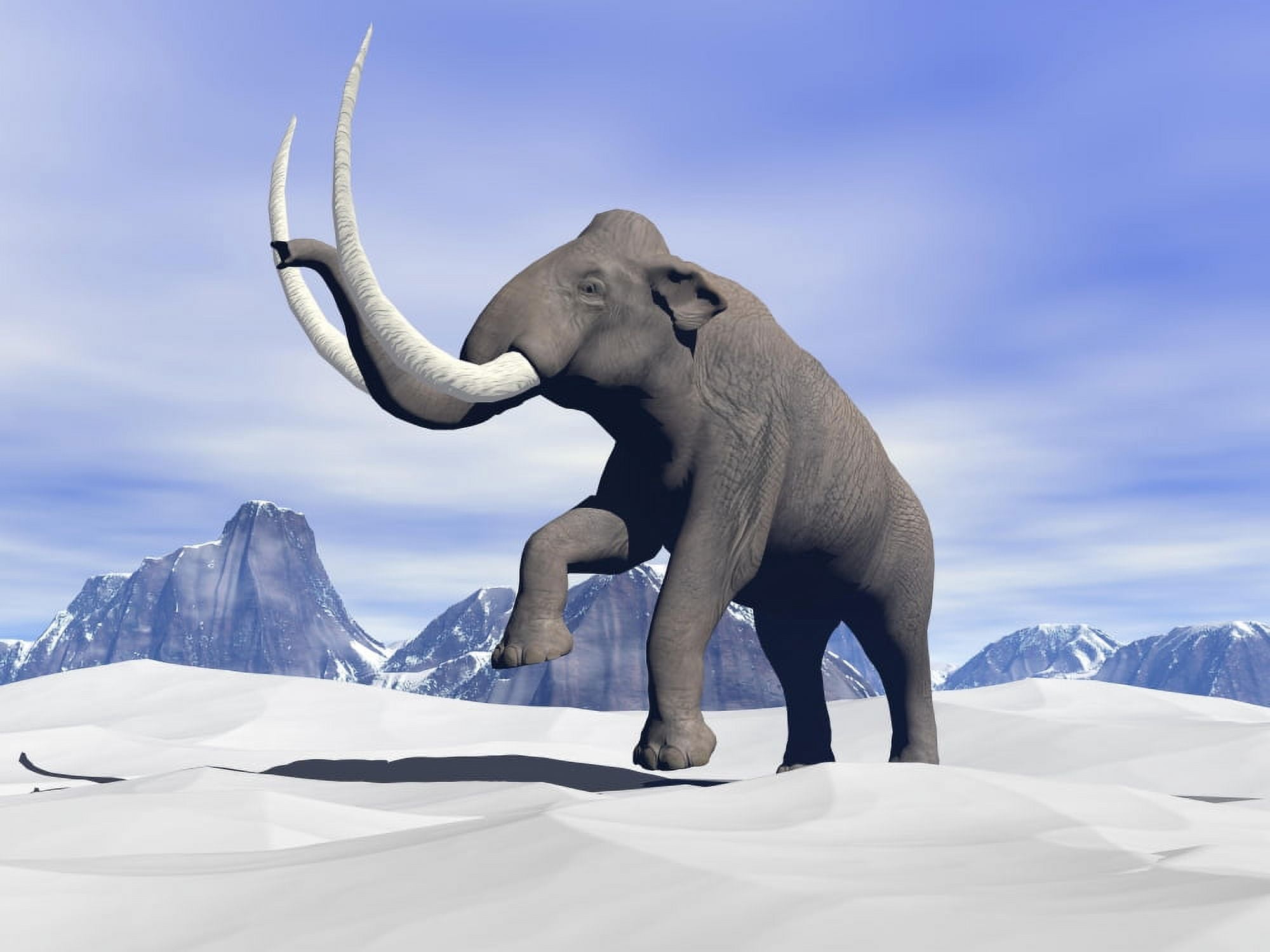 Large mammoth walking slowly on the snowy mountain Canvas Art - Elena DuvernayStocktrek Images (33 x 25)
