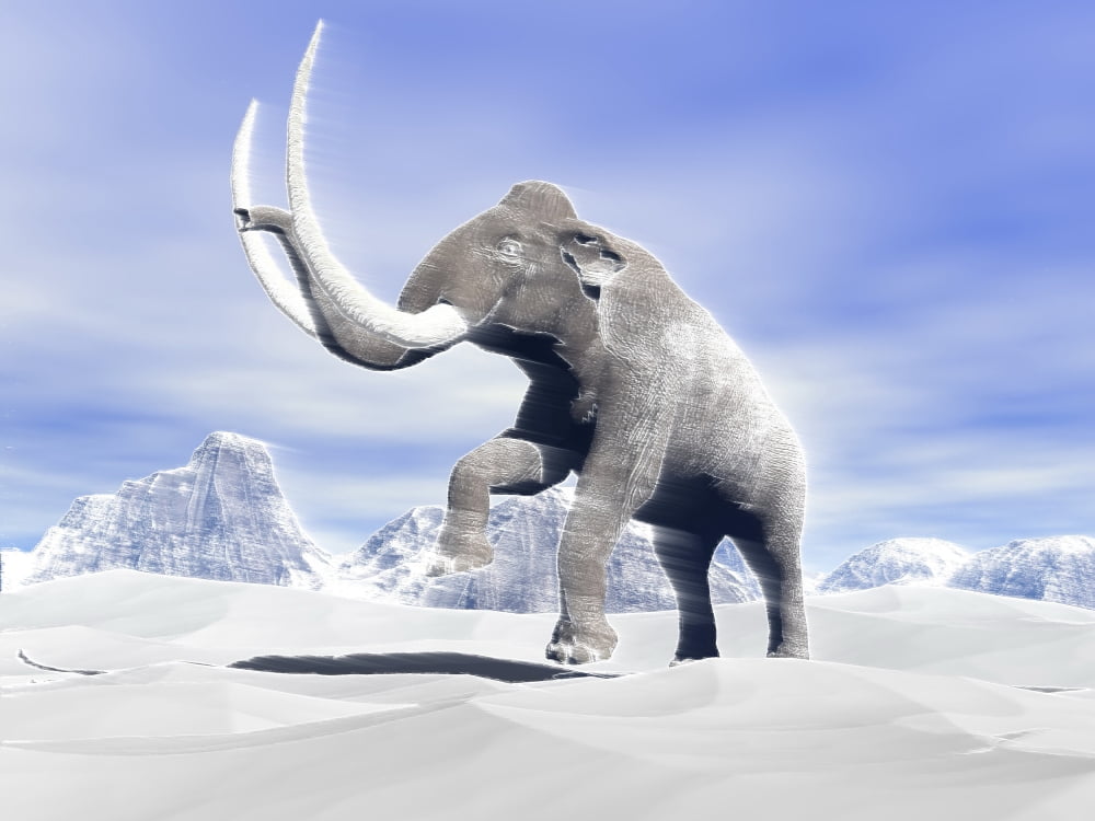 Large mammoth walking slowly on the snowy mountain against the wind Canvas Art - Elena DuvernayStocktrek Images (33 x 25)