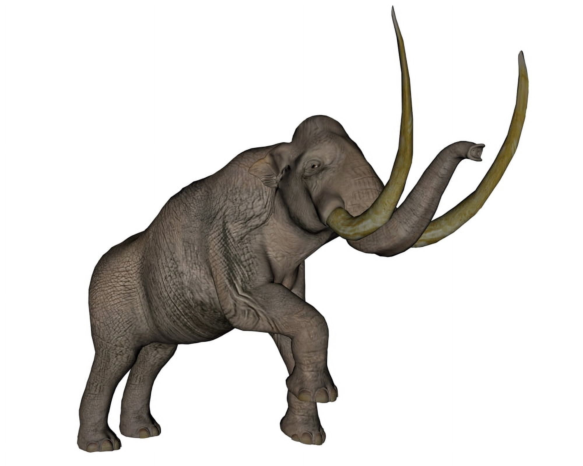 Large mammoth white background Canvas Art - Elena DuvernayStocktrek Images (16 x 13)