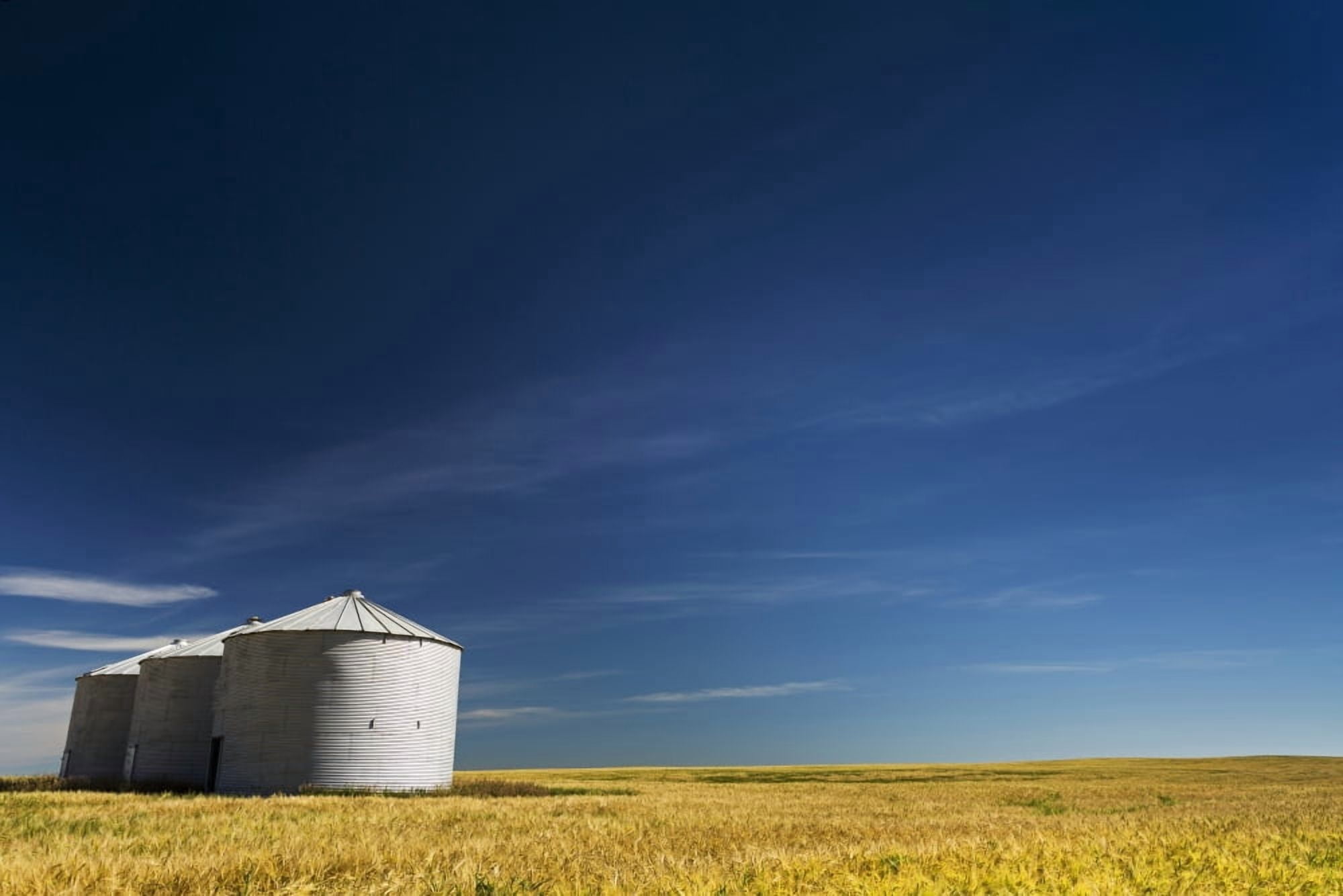 Large metal grain bins in a barley field with blue sky and wispy clouds Acme Alberta Canada Canvas Art - Michael Interisano Design Pics (19 x 12)